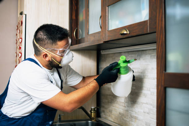 Best Affordable Pest Control Services  in Boaz, AL