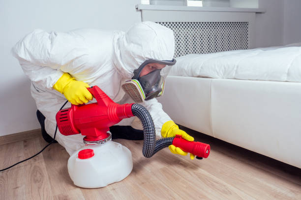 Wasp Removal Services in Boaz, AL