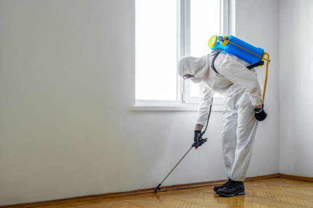 Best Pest Prevention Services  in Boaz, AL