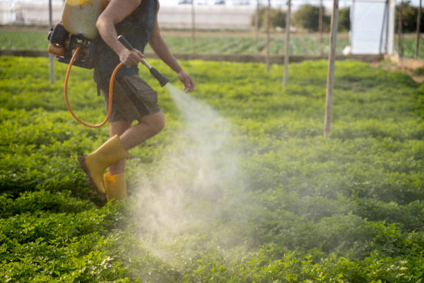 Best Mosquito Control Services  in Boaz, AL