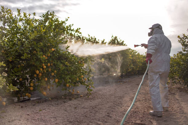 Best Best Pest Control Companies  in Boaz, AL