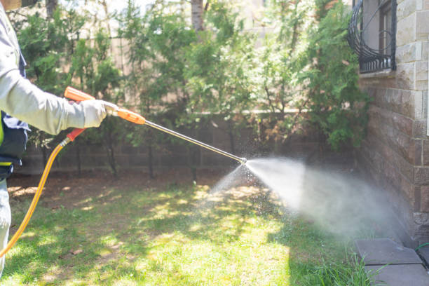 Professional Pest Control in Boaz, AL