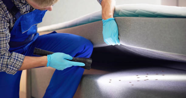 Best Pest Control for Homes  in Boaz, AL