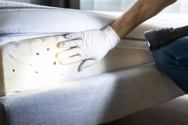 Best Commercial Pest Control Services  in Boaz, AL