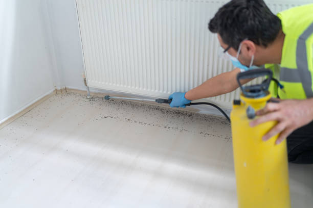 Best Ant Control Services  in Boaz, AL