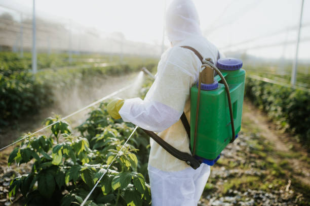 Insect Control in Boaz, AL